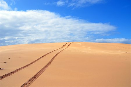 dune driving - Vehicle tracks over a remote, deserted sand dune. Stock Photo - Budget Royalty-Free & Subscription, Code: 400-08669597