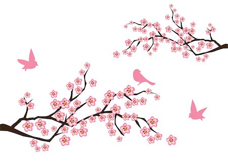 simsearch:400-04882926,k - vector illustration of cherry blossom background with birds Stock Photo - Budget Royalty-Free & Subscription, Code: 400-08678931