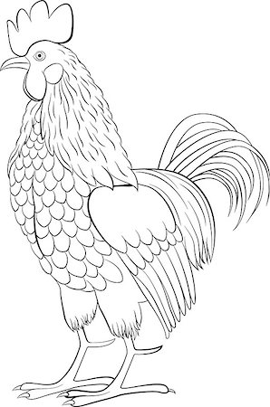 simsearch:400-05709593,k - rooster black line art sketch of cock isolated on white Stock Photo - Budget Royalty-Free & Subscription, Code: 400-08679684