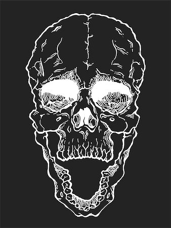 simsearch:400-04275576,k - Terrible frightening skull. Creepy illlustration for halloween Photographie de stock - Aubaine LD & Abonnement, Code: 400-08672443