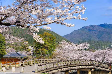 simsearch:862-03712492,k - Arashiyama, Kyoto, Japan in the spring season. Stock Photo - Budget Royalty-Free & Subscription, Code: 400-08696128
