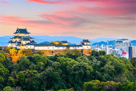 simsearch:400-06640469,k - Wakayama, Japan Castle and downtown cityscape. Stock Photo - Budget Royalty-Free & Subscription, Code: 400-08696858
