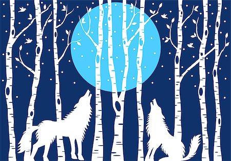 Howling wolf with blue moon and white birch trees, vector illustration Photographie de stock - Aubaine LD & Abonnement, Code: 400-08711921