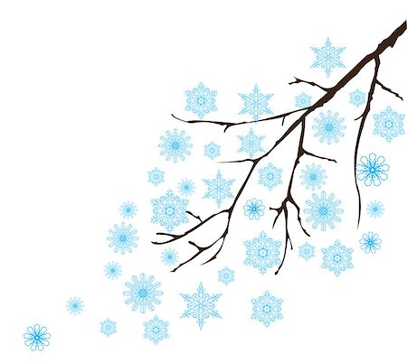 simsearch:400-07900302,k - vector illustration of a tree branch with snowflakes Stock Photo - Budget Royalty-Free & Subscription, Code: 400-08713366