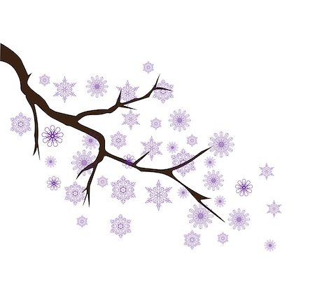 simsearch:400-07900302,k - vector illustration of a tree branch with snowflakes Stock Photo - Budget Royalty-Free & Subscription, Code: 400-08713377