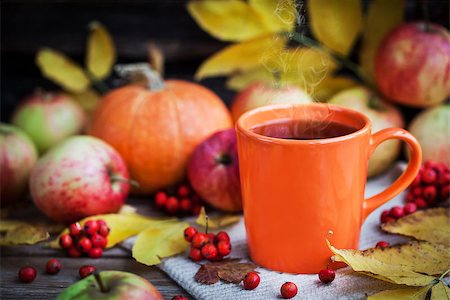 pumpkin fruit and his leafs - Orange mug on autumn background -fall leaves, apples, pumpkin and rowan-berry Stock Photo - Budget Royalty-Free & Subscription, Code: 400-08736515