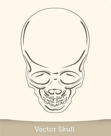 simsearch:400-04275576,k - skull illustration isolated on white background. Vector EPS10 Photographie de stock - Aubaine LD & Abonnement, Code: 400-08754438