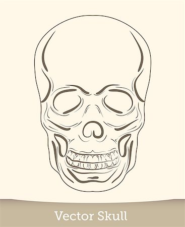 simsearch:400-04275576,k - skull illustration isolated on white background. Vector EPS10 Photographie de stock - Aubaine LD & Abonnement, Code: 400-08754441