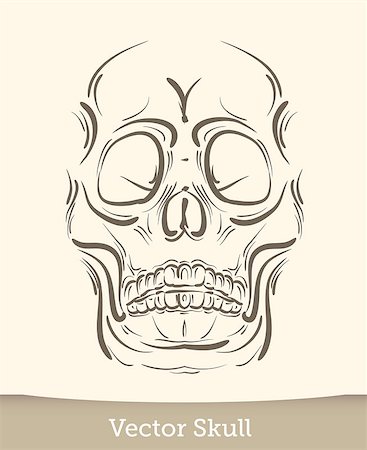 simsearch:400-04275576,k - skull illustration isolated on white background. Vector EPS10 Photographie de stock - Aubaine LD & Abonnement, Code: 400-08754442