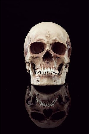 picture of a scary skeleton head - Natural human skull front view on black background. Stock Photo - Budget Royalty-Free & Subscription, Code: 400-08751591