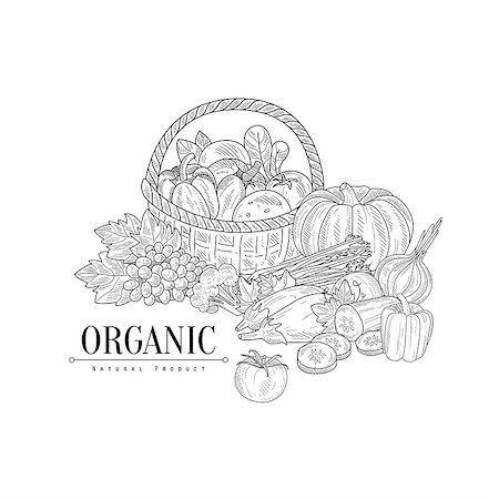 Organic Farm Products Still Life Hand Drawn Realistic Sketch. Hand Drawn Detailed Contour Illustration On White Background. Foto de stock - Super Valor sin royalties y Suscripción, Código: 400-08775975