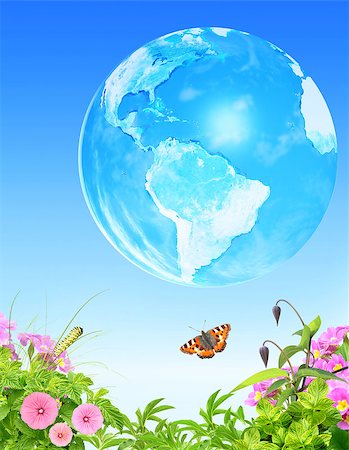 simsearch:400-06069768,k - Summer grass, flowers insect and Earth on blue sky background. Elements of this image furnished by NASA Stock Photo - Budget Royalty-Free & Subscription, Code: 400-08776201