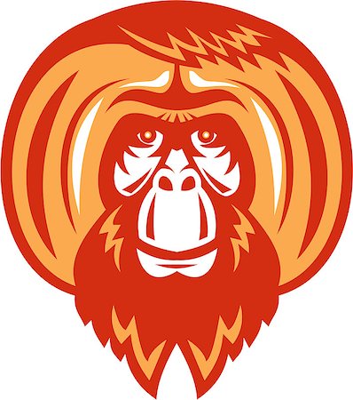 Illustration of an orangutan, orang-utan, orangutang or orang-utang an Asian species of extant great apes with beard facial hair viewed from front set on isolated white background done in retro style. Stock Photo - Budget Royalty-Free & Subscription, Code: 400-08773548
