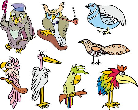 Set of miscellaneous cute funny birds. Cartoon sketches including owls, parrots, paradise bird, stork and partridge bird. Stock Photo - Budget Royalty-Free & Subscription, Code: 400-08773818