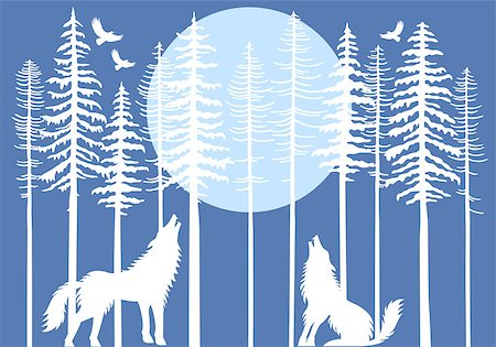 Howling wolf in fir tree forest with blue moon, vector illustration Photographie de stock - Aubaine LD & Abonnement, Code: 400-08789327