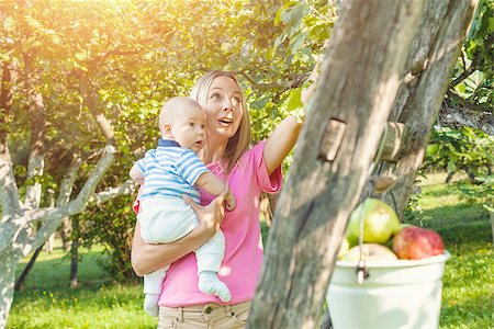 family apple orchard - Mother with her baby picking apples from an apple tree Photographie de stock - Aubaine LD & Abonnement, Code: 400-08790259