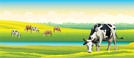 Herd of cows in green field on a cloudy sky. Vector rural landscape. Stock Photo - Budget Royalty-Free & Subscription, Code: 400-08807939