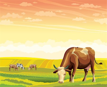 Herd of cows in green field on a sunset sky. Vector rural summer landscape. Photographie de stock - Aubaine LD & Abonnement, Code: 400-08807940