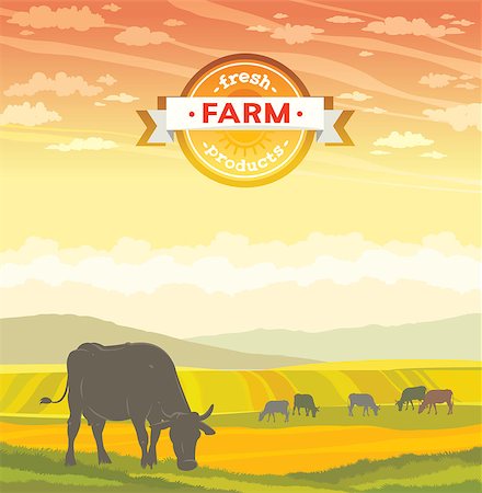 Silhouette of cow and rural landscape on a sunset sky. Vector of fresh farm products. Stock Photo - Budget Royalty-Free & Subscription, Code: 400-08807941