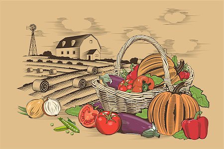 engraving - Vegetable basket in woodcut style, vector illustration. Stock Photo - Budget Royalty-Free & Subscription, Code: 400-08817512