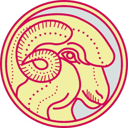 ram animal side view - Mono line style illustration of a merino ram sheep head viewed from the side set inside circle on isolated background. Stock Photo - Budget Royalty-Free & Subscription, Code: 400-08819922
