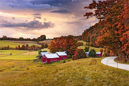 Rural autumn Jenne Farm in Vermont, USA. Stock Photo - Budget Royalty-Free & Subscription, Code: 400-08813544