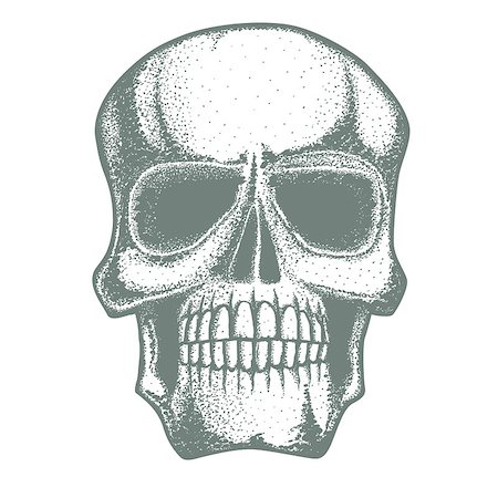 Vector skull illustration. Hand drawn skull. Spooky and scary halloween skull Stock Photo - Budget Royalty-Free & Subscription, Code: 400-08833318
