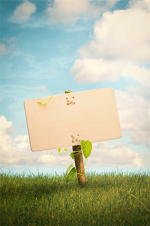 simsearch:400-04229535,k - Blank wooden sign and natural background with grass and blue sky with clouds , Nature information concept, vertical image. Photographie de stock - Aubaine LD & Abonnement, Code: 400-08861697