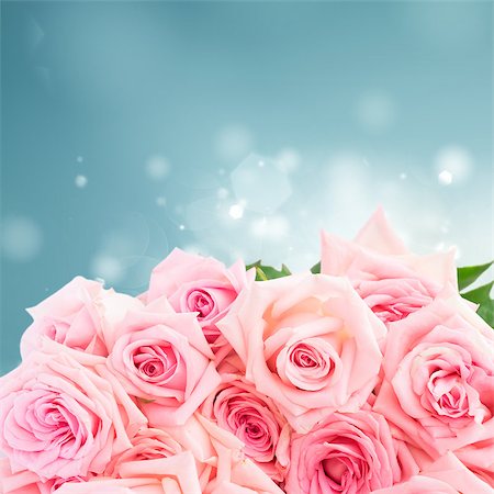 simsearch:400-06141323,k - Pink blooming fresh roses border on blue boke background Foto de stock - Super Valor sin royalties y Suscripción, Código: 400-08888760