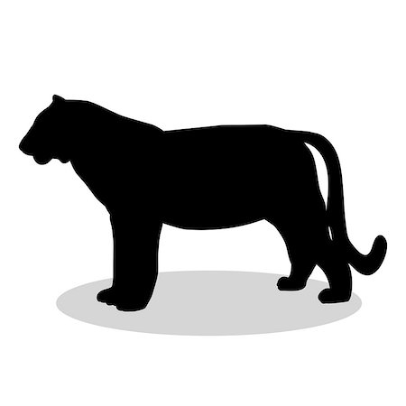 simsearch:400-05250521,k - Tiger wildcat black silhouette animal. Vector Illustrator. Stock Photo - Budget Royalty-Free & Subscription, Code: 400-08939411