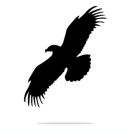 simsearch:400-04083265,k - Eagle bird black silhouette animal. Vector Illustrator. Stock Photo - Budget Royalty-Free & Subscription, Code: 400-08939448