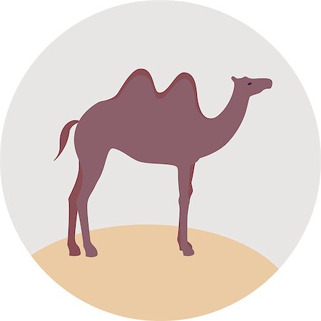 simsearch:400-04121488,k - Camel vector sign flat illustration Foto de stock - Super Valor sin royalties y Suscripción, Código: 400-08978087