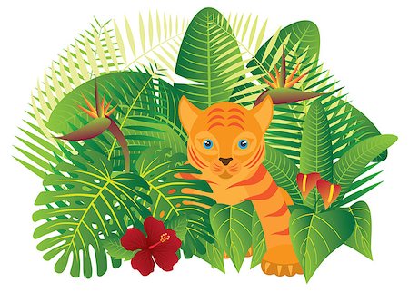 simsearch:400-05698489,k - Tropical Rain Forest  Jungle Plants with Leaves Flowers and Tiger Cub Isolated on White Background Color Illustration Stock Photo - Budget Royalty-Free & Subscription, Code: 400-08980101