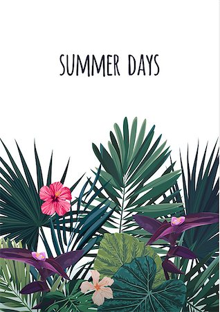 Floral postcard design with hibiscus flowers, monstera and royal palm leaves. Exotic hawaiian background. Vector illustration. Photographie de stock - Aubaine LD & Abonnement, Code: 400-08999355