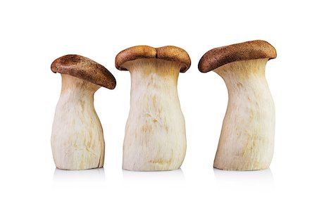 simsearch:400-04824992,k - King Oyster mushrooms isolated on white background Stock Photo - Budget Royalty-Free & Subscription, Code: 400-09019098