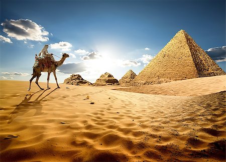 simsearch:400-05098768,k - Bedouin on camel near pyramids in desert Stock Photo - Budget Royalty-Free & Subscription, Code: 400-09029206