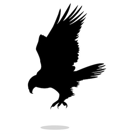 simsearch:400-04083265,k - Hawk eagle falcon bird black silhouette animal. Vector Illustrator. Stock Photo - Budget Royalty-Free & Subscription, Code: 400-09048681