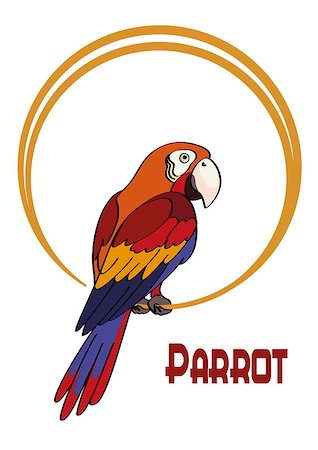 simsearch:400-08410665,k - Exotic Bird, Cartoon Colorful Parrot Macaw Sits on the Ring. Vector Photographie de stock - Aubaine LD & Abonnement, Code: 400-09049241