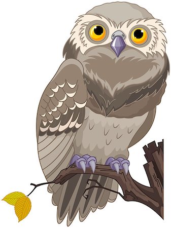 simsearch:400-07995476,k - Illustration of an owl sits on a branch Stock Photo - Budget Royalty-Free & Subscription, Code: 400-09050775