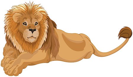 simsearch:400-08255624,k - Illustration of gorgeous lion Stock Photo - Budget Royalty-Free & Subscription, Code: 400-09051785