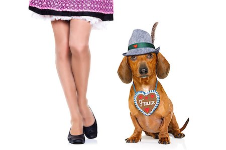 bavarian dachshund or sausage  dog with  gingerbread with owner  isolated on white background , ready for the beer celebration festival in munich, Stock Photo - Budget Royalty-Free & Subscription, Code: 400-09064046