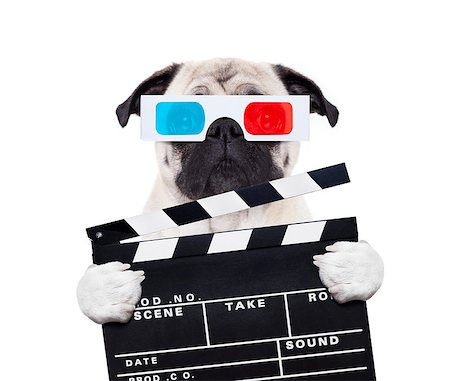 dog watching the  movies  with 3d glasses and a scene cinema clapper slate board, isolated on white background Stock Photo - Budget Royalty-Free & Subscription, Code: 400-09068938