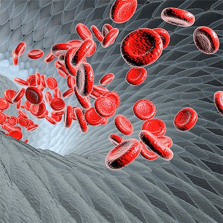 platelets - Blood vessel with flowing blood cells, scientific or medical or microbiological concept, 3d rendering illustration Stock Photo - Budget Royalty-Free & Subscription, Code: 400-09062662