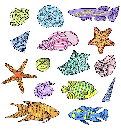 simsearch:400-05916696,k - Set of colorful shells and fishes isolated on white background.Vector illustration. Stock Photo - Budget Royalty-Free & Subscription, Code: 400-09089038
