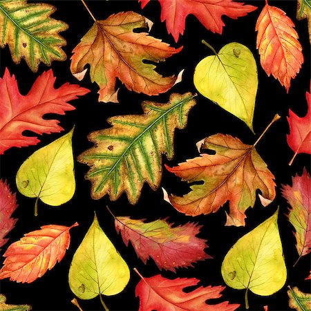 simsearch:400-05698489,k - Seamless watercolor pattern with red, yellow and green-yellow autumn leaves on black background. Endless artwork hand-drawn. Floral wallpaper autumn plant forest Stock Photo - Budget Royalty-Free & Subscription, Code: 400-09080009