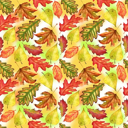 simsearch:400-05698489,k - Seamless watercolor pattern with red, yellow and green-yellow autumn leaves on colorful background. Endless artwork hand-drawn. Floral wallpaper autumn plant forest Stock Photo - Budget Royalty-Free & Subscription, Code: 400-09080010