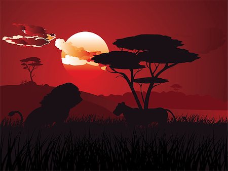 simsearch:400-04836462,k - Colorful sunset scene, african landscape with silhouette of trees and lion. Foto de stock - Super Valor sin royalties y Suscripción, Código: 400-09081245