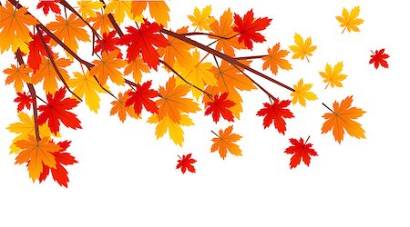 simsearch:400-05256623,k - Autumn leaves vector illustration Photographie de stock - Aubaine LD & Abonnement, Code: 400-09081516