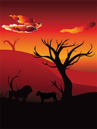 simsearch:400-04836462,k - Colorful sunset scene, african landscape with silhouette of trees and lion. Foto de stock - Super Valor sin royalties y Suscripción, Código: 400-09081549