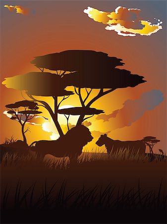 simsearch:400-04836462,k - Colorful sunset scene, african landscape with silhouette of trees and lion. Foto de stock - Super Valor sin royalties y Suscripción, Código: 400-09081751